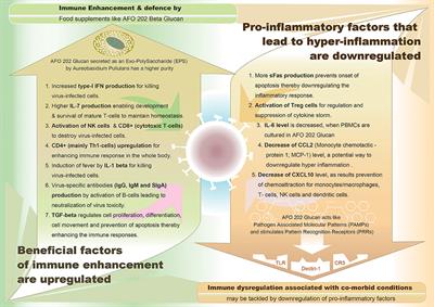 Role of Immune Dysregulation in Increased Mortality Among a Specific Subset of COVID-19 Patients and Immune-Enhancement Strategies for Combatting Through Nutritional Supplements